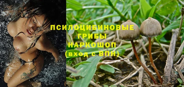 соль курить ск Алексин