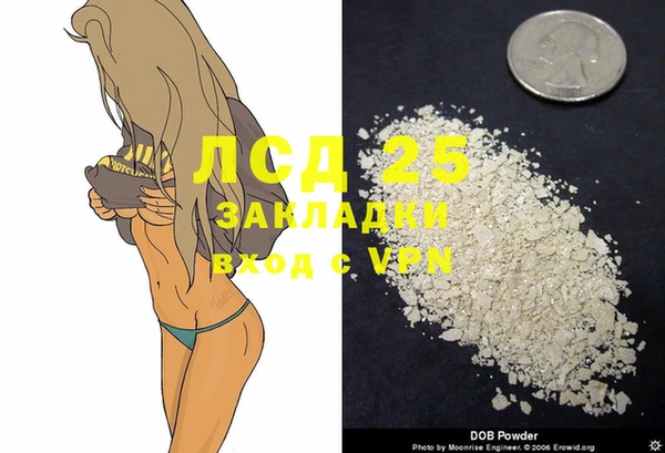 сатива Абаза