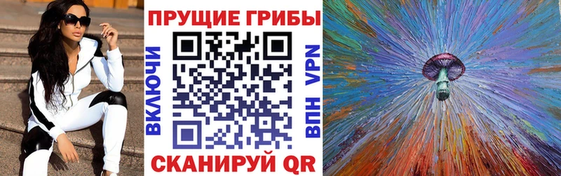 Галлюциногенные грибы мицелий  купить  сайты  Зверево 